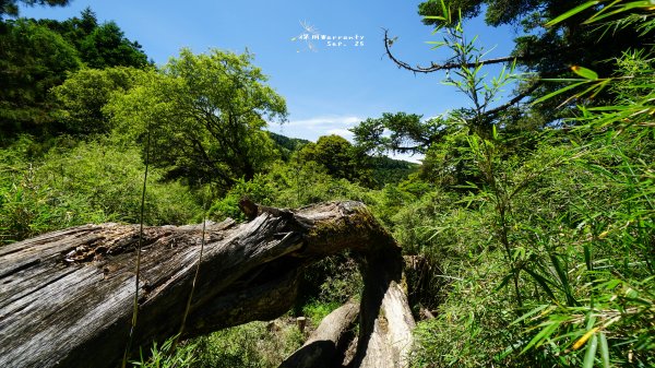 閂山之門.鈴鳴之鑰660249