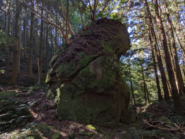 貴妃山那結山外鳥嘴山2630844