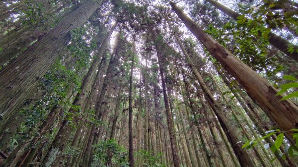 馬崙山之美1756012