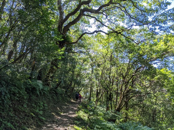 志繼山東眼山拉卡山1491078