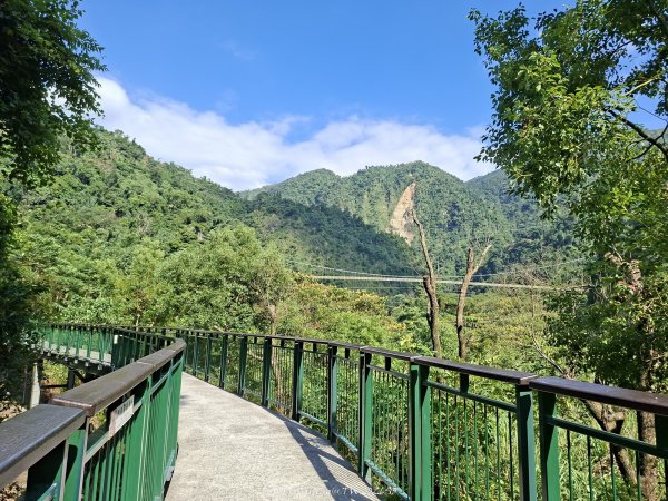 《南投》瀑布茶園｜竹山瑞龍瀑布步道及山坪頂茶山七星步道202609273124246