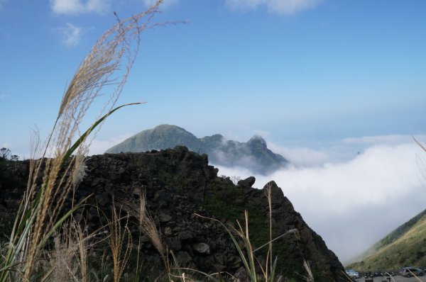 無耳茶壺山步道491373