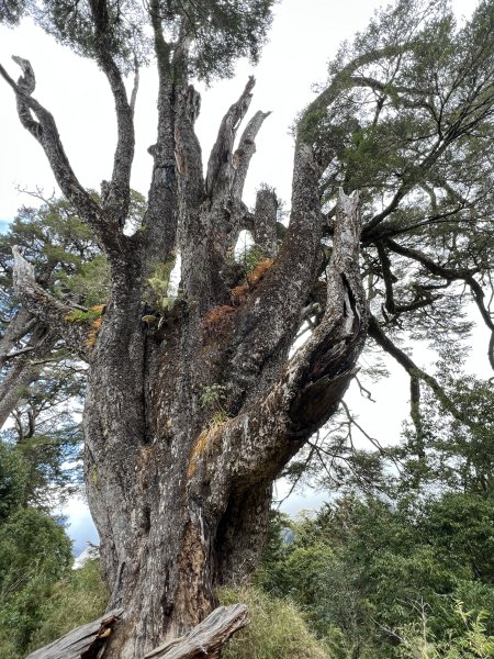 百岳-塔關山2695807