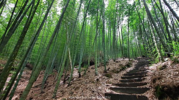 《雲林》望好望角｜石壁山嘉南雲峰步道(中側登山口）202506072805328