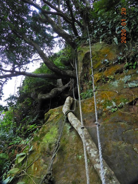 臺北市 文山 中埔山東峰817235