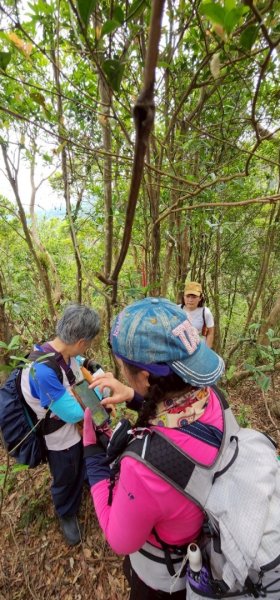 銀河洞越嶺貓空-新高麗坑山-銀獅縱走-猴山岳群峰+三條魚縱走2765495