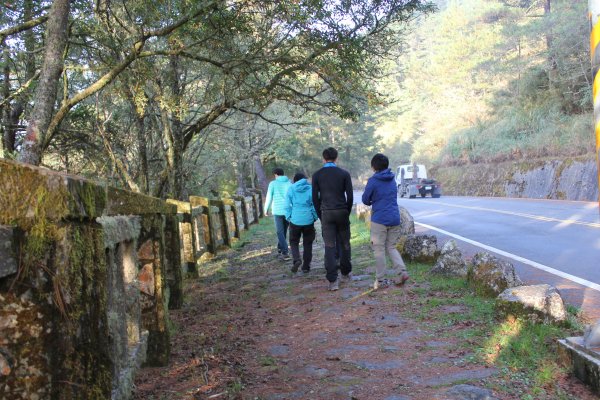 登峰造極--2018玉山主峰532666