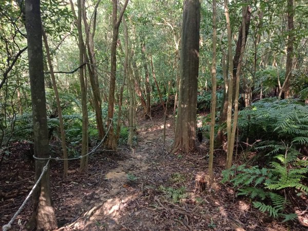 汐止區金明山B線+如意湖O型2860233