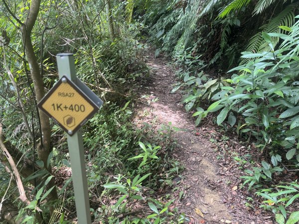 [皮皮獅Hike客任務-05/10] 2024_0721 石硬子古道(石峎古道)2557530