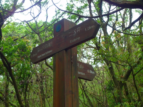 二子坪 面天山 向天山步道 大屯山西峰39782