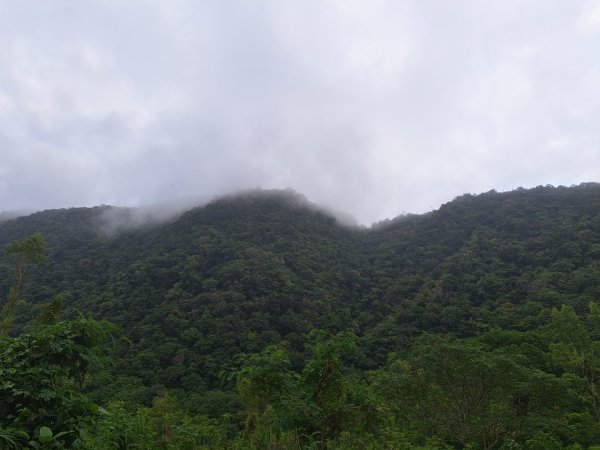 小百岳集起來月眉山步道3113073