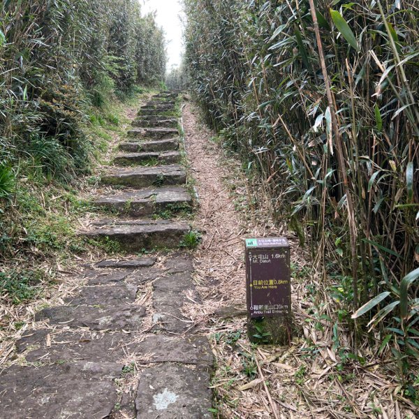 4/12台北大縱走第二段小油坑到二子坪2763645