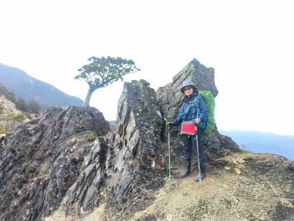 20240320 馬博8天縱走~第五天，馬里亞文路山，馬利加南山2471238