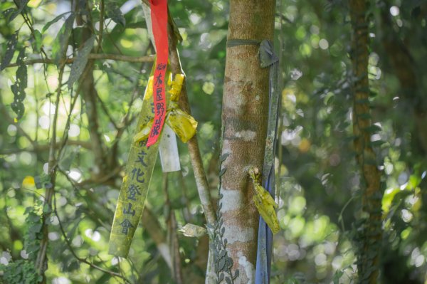 闊瀨古道-沿北勢溪谷而行的夏末之旅（淡蘭古道）2287599