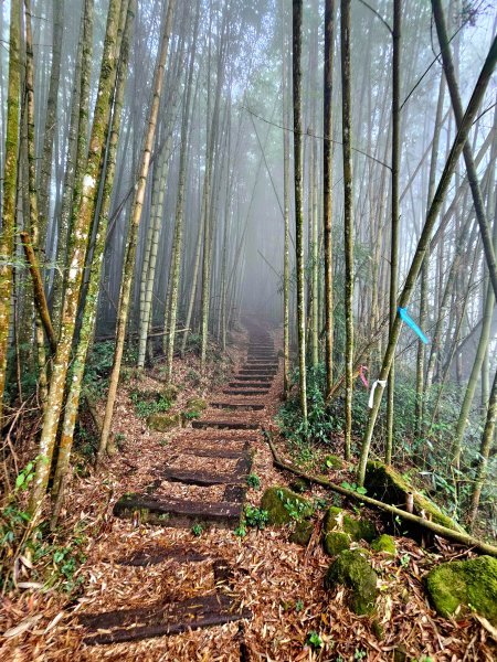 小百岳集起來-奮起湖大凍山2185187