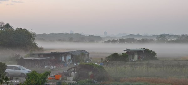 #觀音山 #夕陽 #夜景 #林梢步道 #關渡平原 #輻射霧  2/213003252