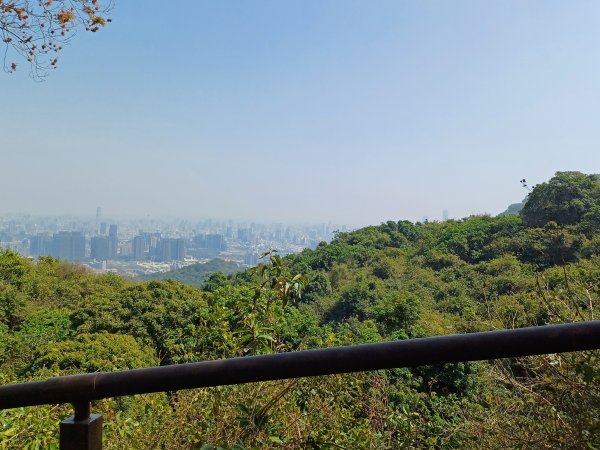 壽山(千光宮-泰國谷-龍泉寺).高鼓山2436493