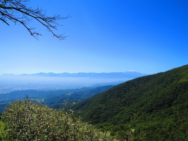 走聖母與三角崙山步道 再探神級抹茶山698498