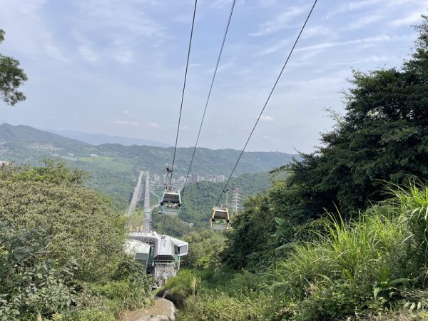 魚猴13連峰2757346