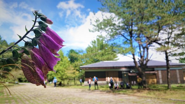 悠遊高山與中級山間的山旅健行在塔塔加玉山前峰及鹿林麟趾山1359927