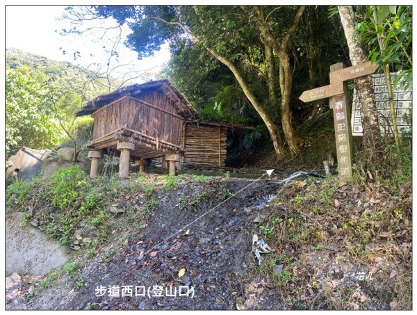 荷戈富士山(史努櫻步道)2610372