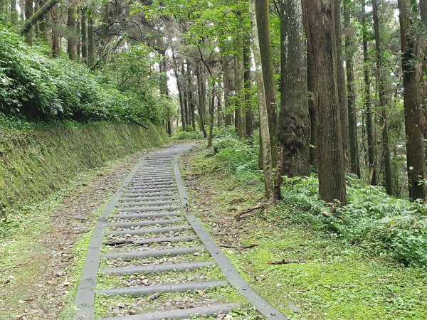 奮起湖步道1068027