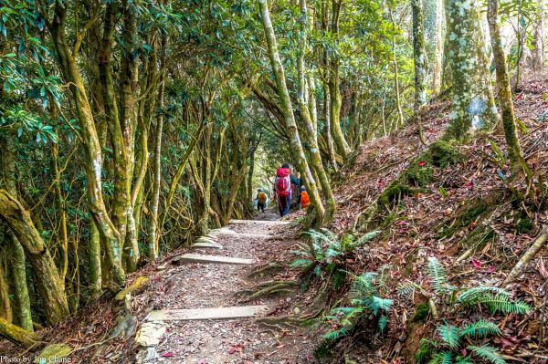 再訪北大武山300205