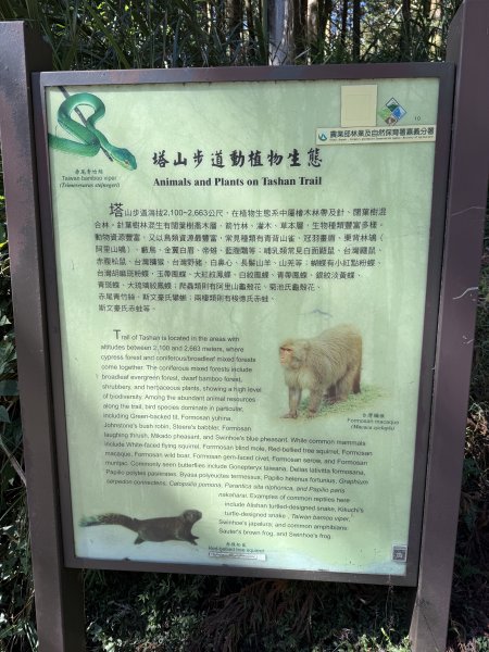 1141215大塔山步道2996120