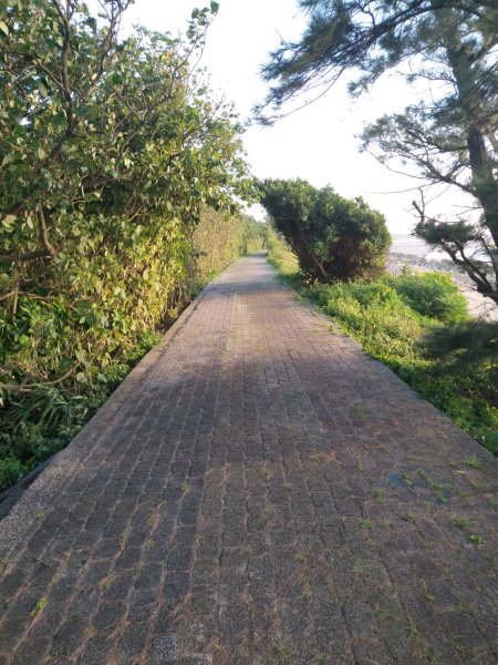 宵裡好風光－永安漁港單車之旅2817169