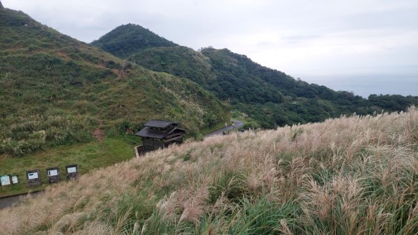 2021/11/12 草嶺古道雨中行1512729