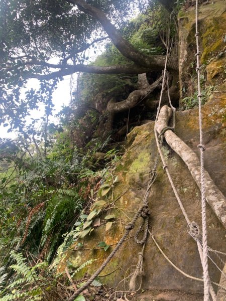 20200129麟光站到中華科大817844