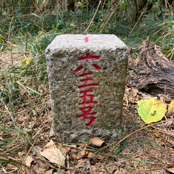 20250404屏東北獅子頭山-霧里乙山2757392