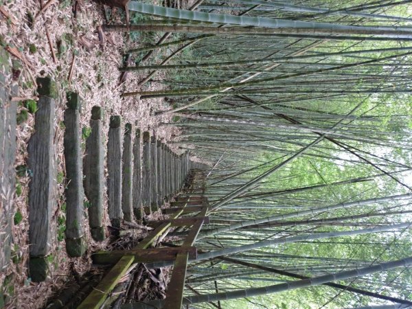 塘湖古道－金獅山－出水坑－交力坪山1732587