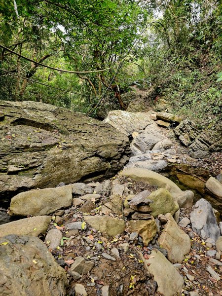 女仍山-小百岳#79-屏東縣獅子鄉2732098