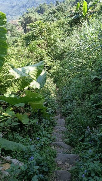 20251004 馬那邦山 - 珠湖 登山口2904884