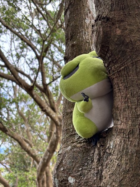 2025-09-06 牛港稜山步道2883869