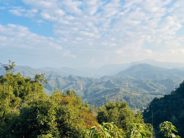 1141207金童山2957740