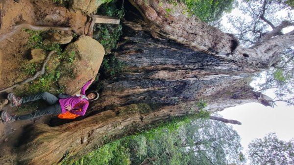 北得拉曼-20204062859833