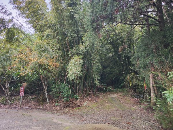 2023.12.14 鵲子山2804604