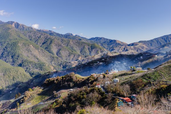 福壽山千櫻園櫻花季初開2717416