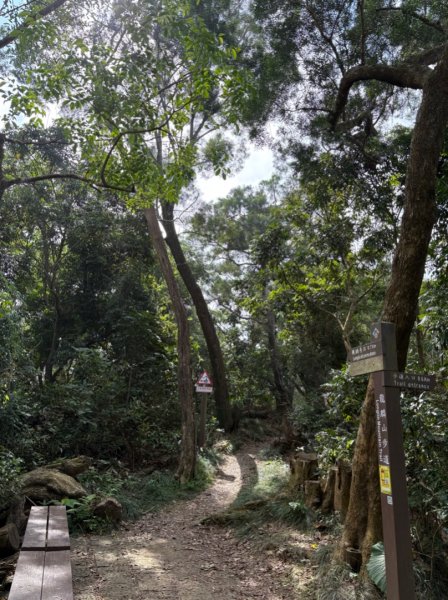 龍麟山步道（王爺崙2703656