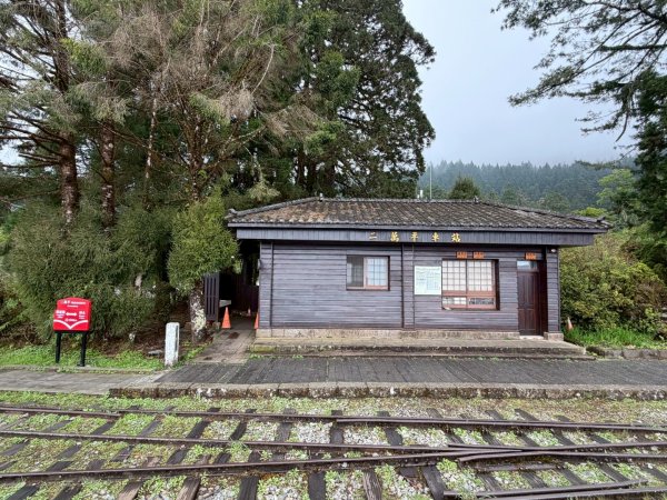 1150404-5水山巨木步道。二萬坪樹抱石3036154