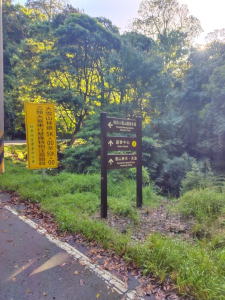 稍來小雪山國家步道、船型山、鞍馬山、鞍馬山東北峰、天池、雪山神木2799811