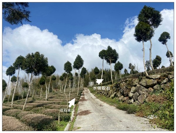 石桌山、石桌山西峰2729168