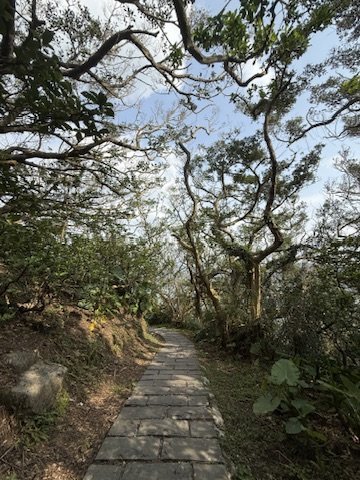 20250404忘憂谷步道2755443