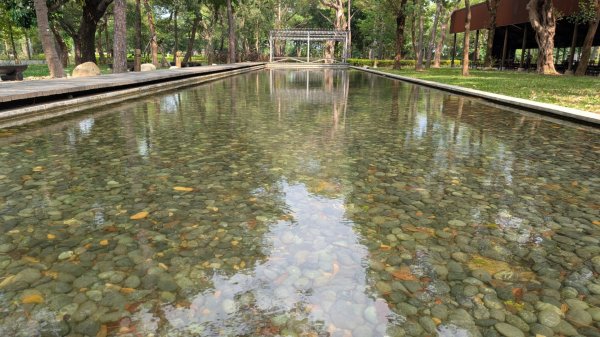 大湳森林公園2879732