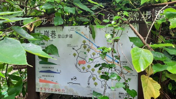 《彰化》西北雨後｜花壇大嶺巷步道群O繞20240824封面