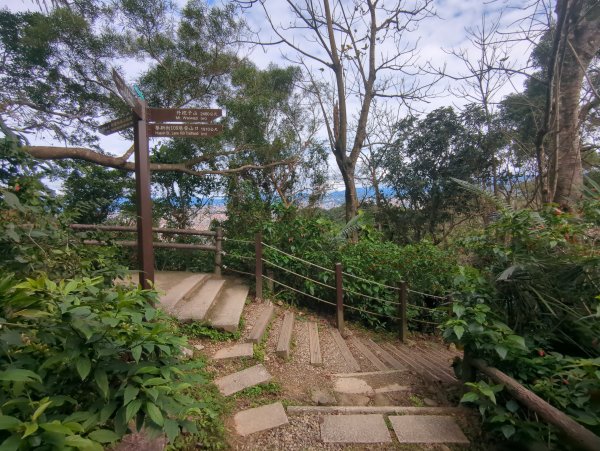 2026.01.25－微笑山線：【天上山系】烘爐地土地公段2994616