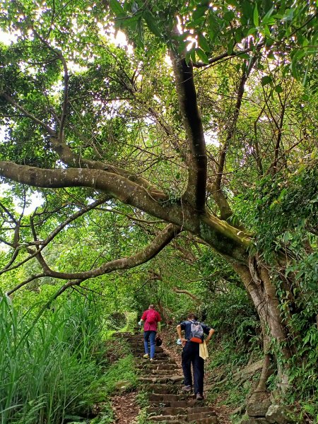 陽明醫院舊址、陽明山前山公園、紗帽山步道、紗帽路、臺北市教師研習中心【走遍陽明山】2121947