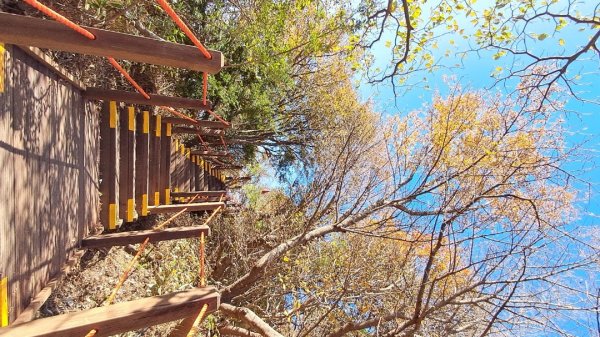 濟州島漢拏山-靈室路線上2942636